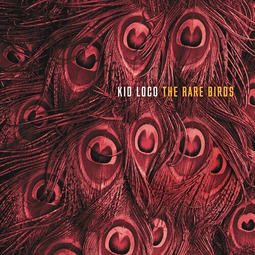 Kid Loco - Rare Birds in der Gruppe CD / Dans/Techno bei Bengans Skivbutik AB (3656213)
