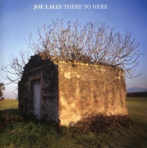 Lally Joe - There To Here in der Gruppe CD / Pop-Rock bei Bengans Skivbutik AB (3656394)