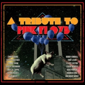 Blandade Artister - Tribute To Pink Floyd in der Gruppe CD / Pop-Rock bei Bengans Skivbutik AB (3656624)