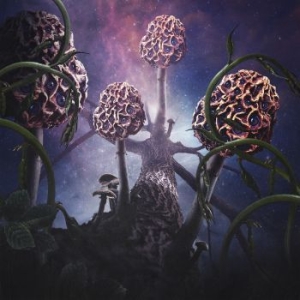 Blut Aus Nord - Hallucinogen in der Gruppe CD bei Bengans Skivbutik AB (3657167)