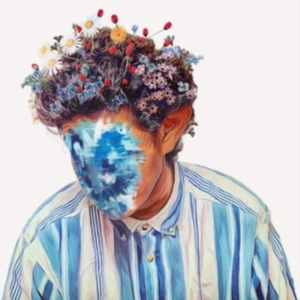 Hobo Johnson - The Fall Of Hobo Johnson in der Gruppe CD bei Bengans Skivbutik AB (3658280)