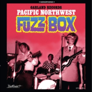 Garland Records - Pacific Northwest Fuzz Box in der Gruppe CD bei Bengans Skivbutik AB (3659020)