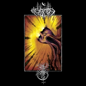 Void Omnia / Insanity Cult - Split in der Gruppe VINYL bei Bengans Skivbutik AB (3659123)