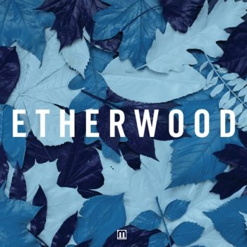 Etherwood - Blue Leaves in der Gruppe CD / Dans/Techno bei Bengans Skivbutik AB (3659197)