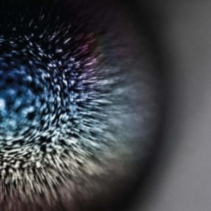 Emptyset - Blossoms in der Gruppe VINYL bei Bengans Skivbutik AB (3662856)