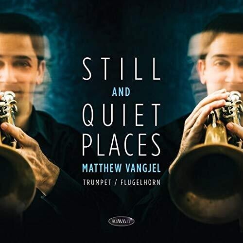 Vangjel Matthew - Still And Quiet Places in der Gruppe CD / Pop bei Bengans Skivbutik AB (3664506)
