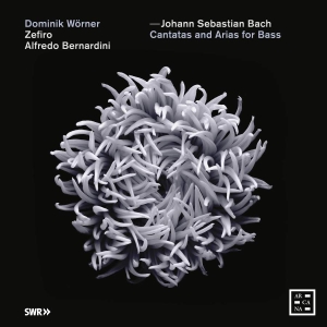 Bach J S - Cantatas And Arias For Bass in der Gruppe CD bei Bengans Skivbutik AB (3665970)