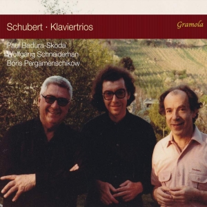 Schubert Franz - Piano Trios in der Gruppe CD bei Bengans Skivbutik AB (3665994)