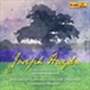Haydn Joseph - Wallerstein Symphonies in der Gruppe CD bei Bengans Skivbutik AB (3666009)