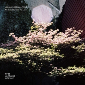 Lindvall Johan (Trio) - No City, No Tree, No Lake in der Gruppe CD bei Bengans Skivbutik AB (3669277)