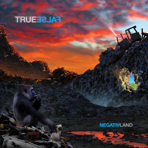 Negativland - True False in der Gruppe CD / Bestseller bei Bengans Skivbutik AB (3669286)