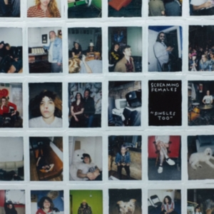 Screaming Females - Singles Too in der Gruppe VINYL bei Bengans Skivbutik AB (3670174)