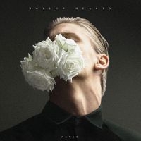 Hollow Hearts - Peter in der Gruppe VINYL / Pop-Rock bei Bengans Skivbutik AB (3670216)