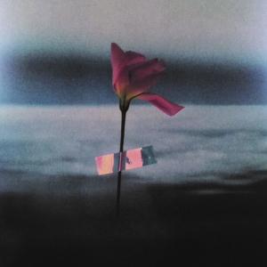 Samson Will - Paralanguage (Clear Vinyl) in der Gruppe VINYL bei Bengans Skivbutik AB (3672881)