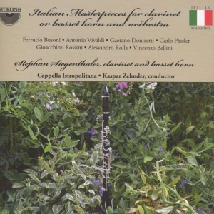 Various - Italian Masterpieces For Clarinet in der Gruppe CD bei Bengans Skivbutik AB (3675106)