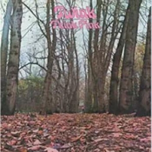 Twink - Twink Pink in der Gruppe VINYL bei Bengans Skivbutik AB (3675562)