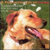 Various - A Day In The Life Of Lucky in der Gruppe CD / Bestseller bei Bengans Skivbutik AB (3677297)