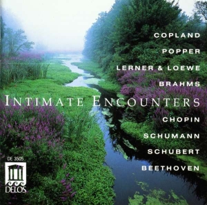 Various Composers - Intimate Encounters: Classical Mood in der Gruppe CD bei Bengans Skivbutik AB (3677312)