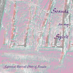 Various - Sounds On My Spirit in der Gruppe CD bei Bengans Skivbutik AB (3677539)
