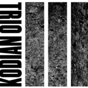 Kodian Trio - Iii in der Gruppe CD bei Bengans Skivbutik AB (3681351)