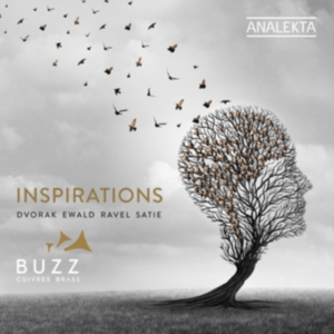 Dvorak Antonin Ewald Victor Rav - Inspirations in der Gruppe CD bei Bengans Skivbutik AB (3681736)