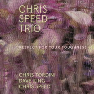 Chris Speed Trio - Respect For Your Toughness in der Gruppe CD bei Bengans Skivbutik AB (3681756)