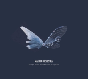 Maluba Orchestra - Maluba Orchestra in der Gruppe VINYL bei Bengans Skivbutik AB (3690024)