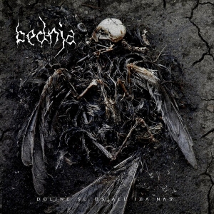 Bednja - Doline Su Ostale Iza Nas in der Gruppe CD bei Bengans Skivbutik AB (3691437)