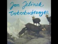 Tirill - Said The Sun To The Moon in der Gruppe VINYL / Pop-Rock bei Bengans Skivbutik AB (3691681)