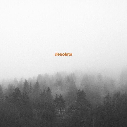Desolate - Exceptionalism in der Gruppe VINYL / Pop bei Bengans Skivbutik AB (3691682)