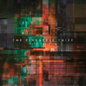 Pineapple Thief - Hold Our Fire in der Gruppe Minishops / The Pineapple Thief bei Bengans Skivbutik AB (3694355)