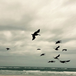 Berger Karl - In A Moment - Music For Piano And S in der Gruppe CD bei Bengans Skivbutik AB (3694566)