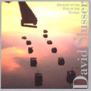 Slusser David - Delight At The End Of The Tunnel in der Gruppe CD bei Bengans Skivbutik AB (3694609)