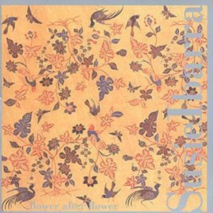 Ibarra Susie - Flower After Flower in der Gruppe CD / Jazz,Pop-Rock bei Bengans Skivbutik AB (3694642)