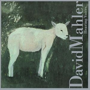 Mahler David - Hearing Voices in der Gruppe CD bei Bengans Skivbutik AB (3694649)
