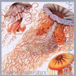 Mace Pierre-Yves - Faux-Jumeaux in der Gruppe CD / Jazz bei Bengans Skivbutik AB (3694662)