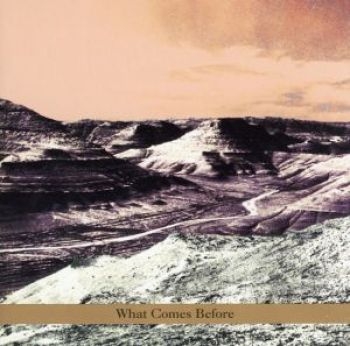 Goldberg / Schott / Sarin Trio - What Comes Before in der Gruppe CD / Jazz/Blues bei Bengans Skivbutik AB (3694703)