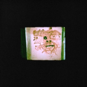 Orrick Chris & The Lasso - I Read That I Was Dead in der Gruppe VINYL bei Bengans Skivbutik AB (3700894)