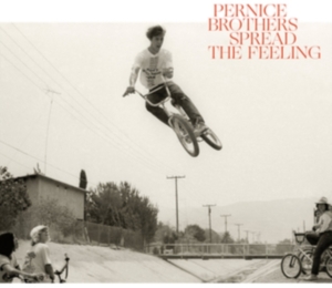 Pernice Brothers - Spread The Feeling in der Gruppe CD bei Bengans Skivbutik AB (3701132)