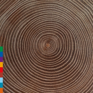 Ali Khan Amjad - Moksha in der Gruppe CD bei Bengans Skivbutik AB (3701150)