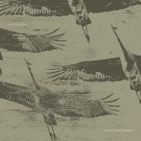 Ulf Lundell - Tranorna Kommer in der Gruppe CD / Pop-Rock bei Bengans Skivbutik AB (3702222)