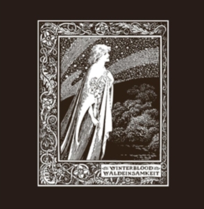 Winterblood - Waldeinsamkeit (2 Lp) in der Gruppe VINYL bei Bengans Skivbutik AB (3702639)