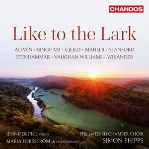 Various - Like To The Lark in der Gruppe MUSIK / SACD / Klassiskt bei Bengans Skivbutik AB (3703899)