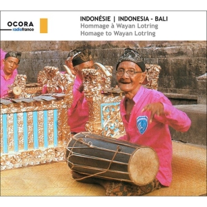 Wayan Lotring - Indonesia-Bali: Homage To Wayan Lot in der Gruppe CD bei Bengans Skivbutik AB (3703990)
