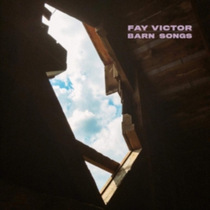 Victor Fay - Darn Songs in der Gruppe CD bei Bengans Skivbutik AB (3704817)