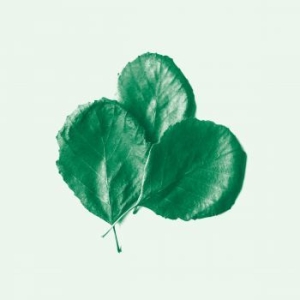 Alder Ego - Ii in der Gruppe VINYL / Jazz/Blues bei Bengans Skivbutik AB (3705817)