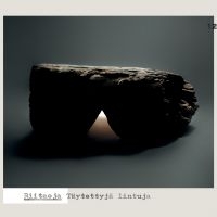 Riitaoja - Täytettyjä Lintuja in der Gruppe CD bei Bengans Skivbutik AB (3708753)