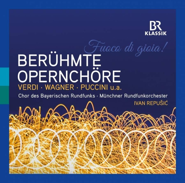 Various - Beruhmte Opernchore in der Gruppe CD / Bestseller bei Bengans Skivbutik AB (3715392)