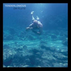 Tenderlonius - On Flute in der Gruppe VINYL bei Bengans Skivbutik AB (3717717)