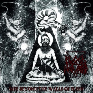 Black Mass Pervertor - Life Beyond The Walls Of Flesh in der Gruppe VINYL bei Bengans Skivbutik AB (3717802)